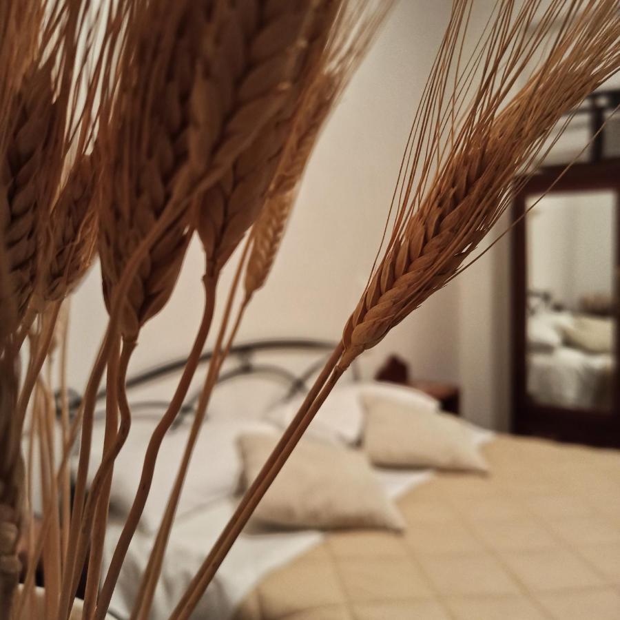 B&B La Masseria Del '700 Castiglione a Casauria Luaran gambar